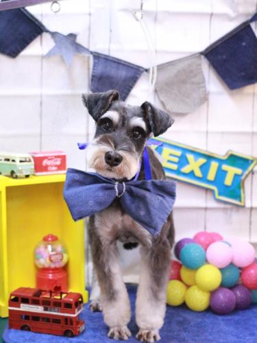 20230411マロ助くん